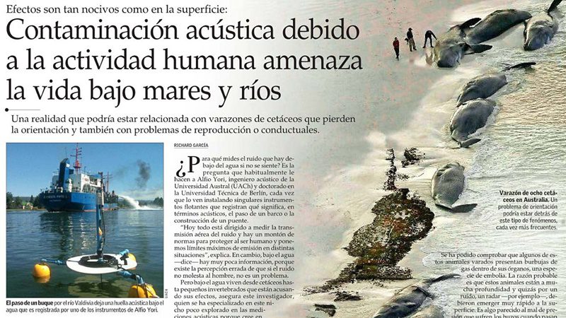 Diario El Mercurio: «Contaminación acústica debido a la actividad humana  amenaza la vida bajo mares y ríos» – AcusticaUACh