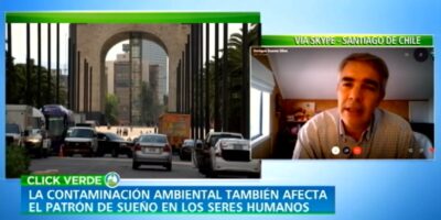 NTN24: «El canto de las aves llega cuando el ruido de las urbes cesa»